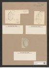 Navicula caribaea Cleve (de-Toni-Nr.: Genus 1, Species 335) Zeichnungen Sammlung Grunow Nr. 776 (NHMW-BOT-W0367183)